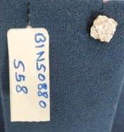 The Letitia Solitaire Stud Earrings - thumb 4