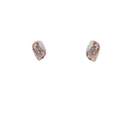 The Noireleaf Stud Earrings - thumb 1