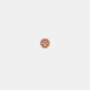 The Orilune Stud Earrings - thumb 8