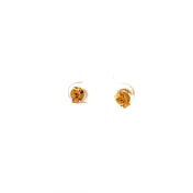 The Satis Multi Pierced Stud Earrings - thumb 5
