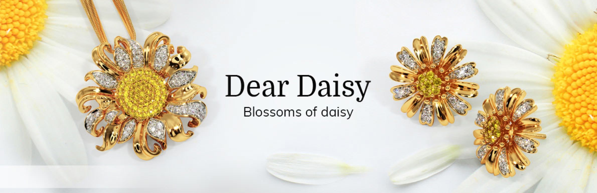Dear Daisy Collection
