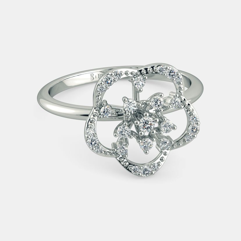 The Kartiki Ring - image 6