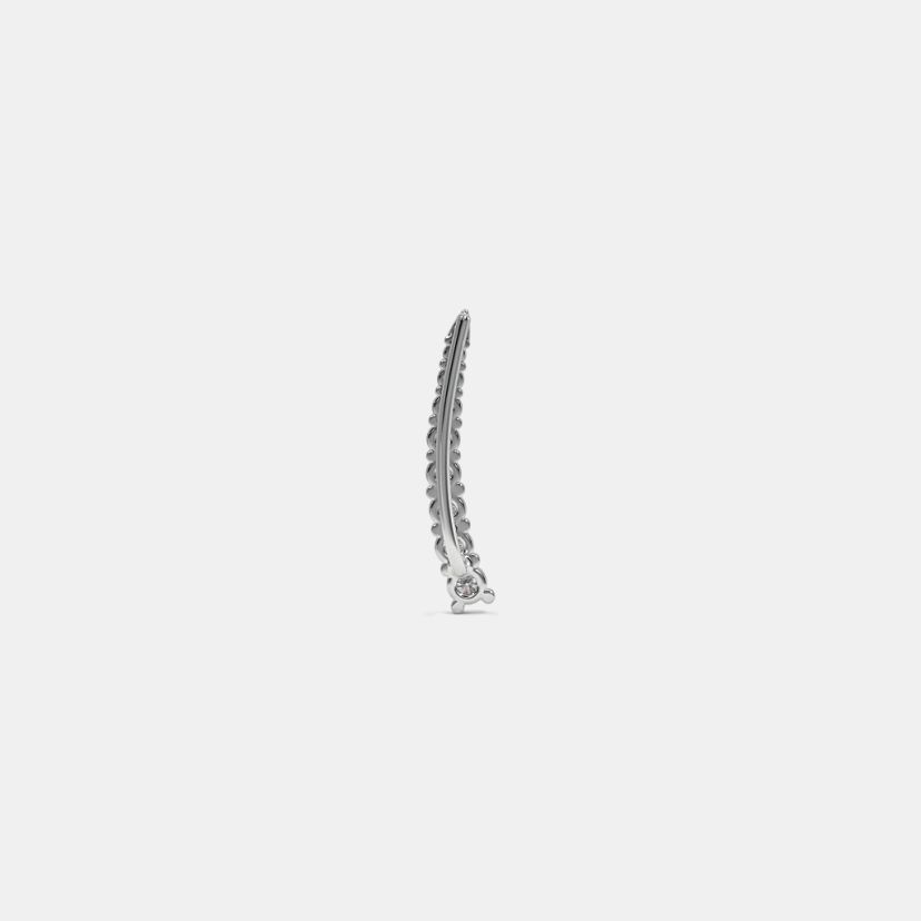 The Bert Ear Climbers - image 6