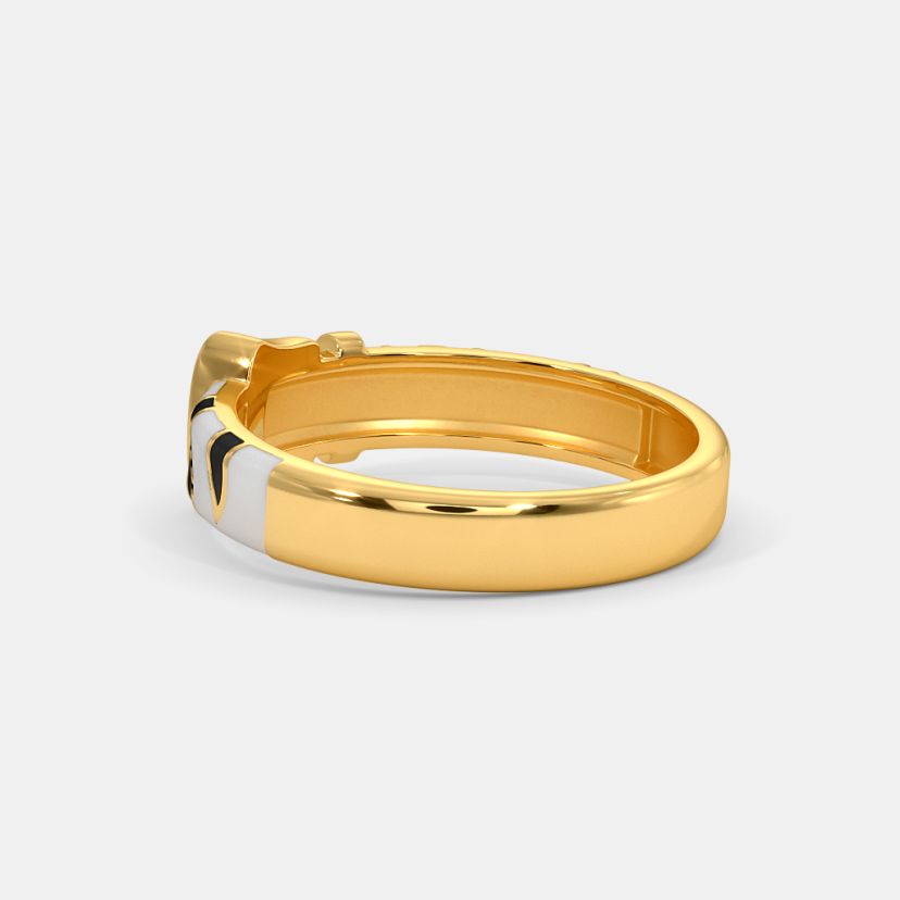 The Zebra Buckle Band - image 6