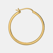 The Delkash Hoop Earrings - thumb 6